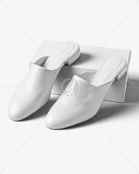 Pair of Mules with Shoe Box Mockup