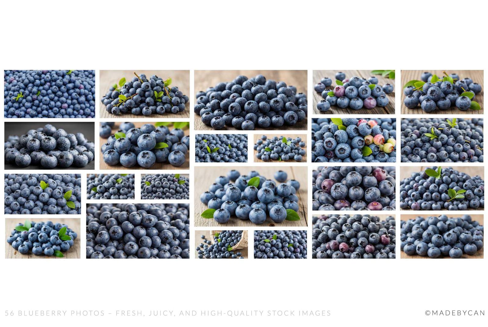 56 Blueberry Photos – Fresh, Juicy, and High-Quality Stock Images