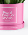 Round Flower Box Mockup