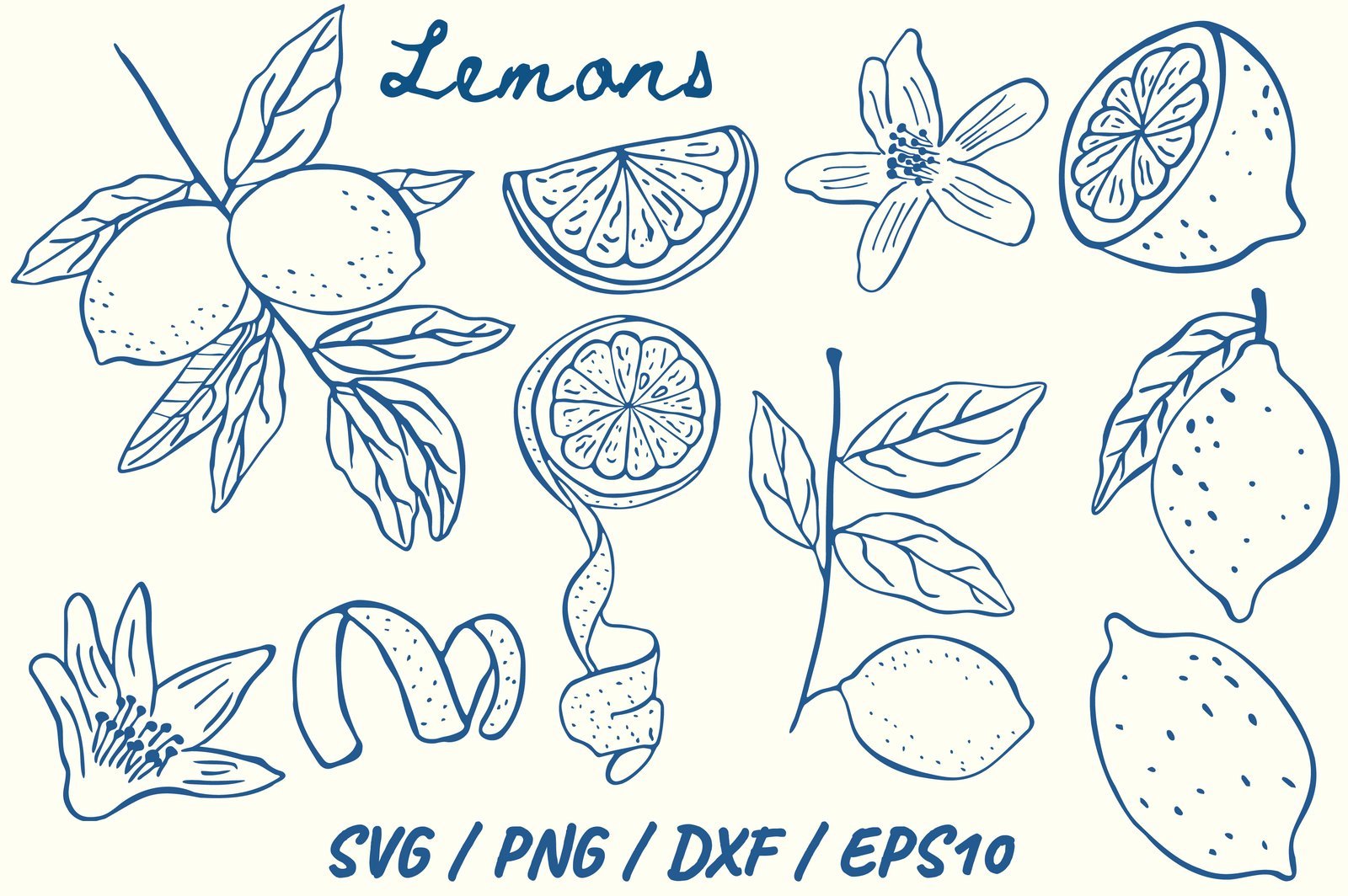 33 Hand Drawn Lemon Botanical Fruit