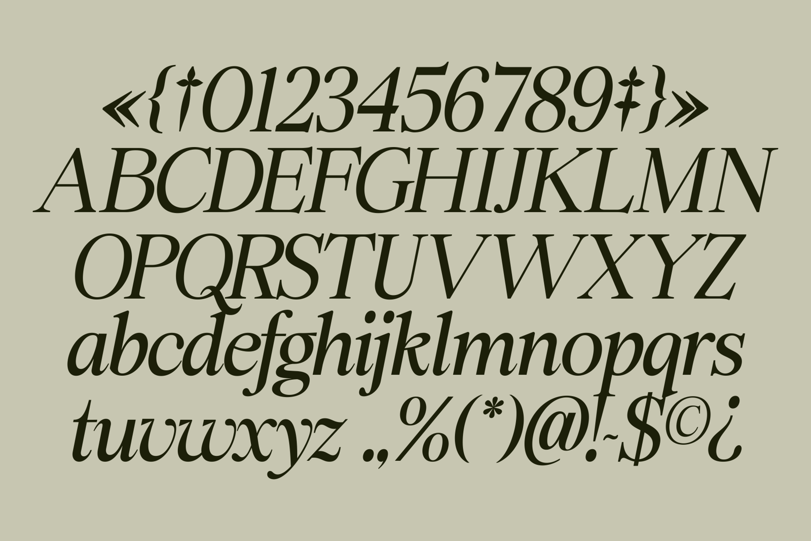 Swarsh Daisy Font