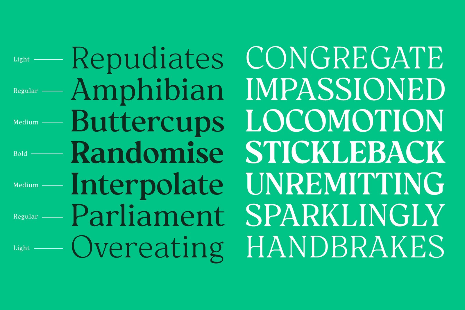 Reloka Font