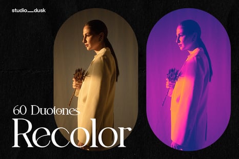 Recolor - Duotone Gradient Maps - Add-Ons