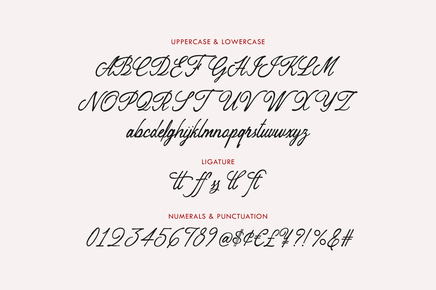 Peuttya Deffunte Sophisticated Classy Script Font