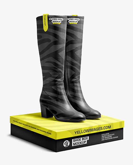 Pair of Women's High-Knee Boots on Shoe Box Mockup - Mockups