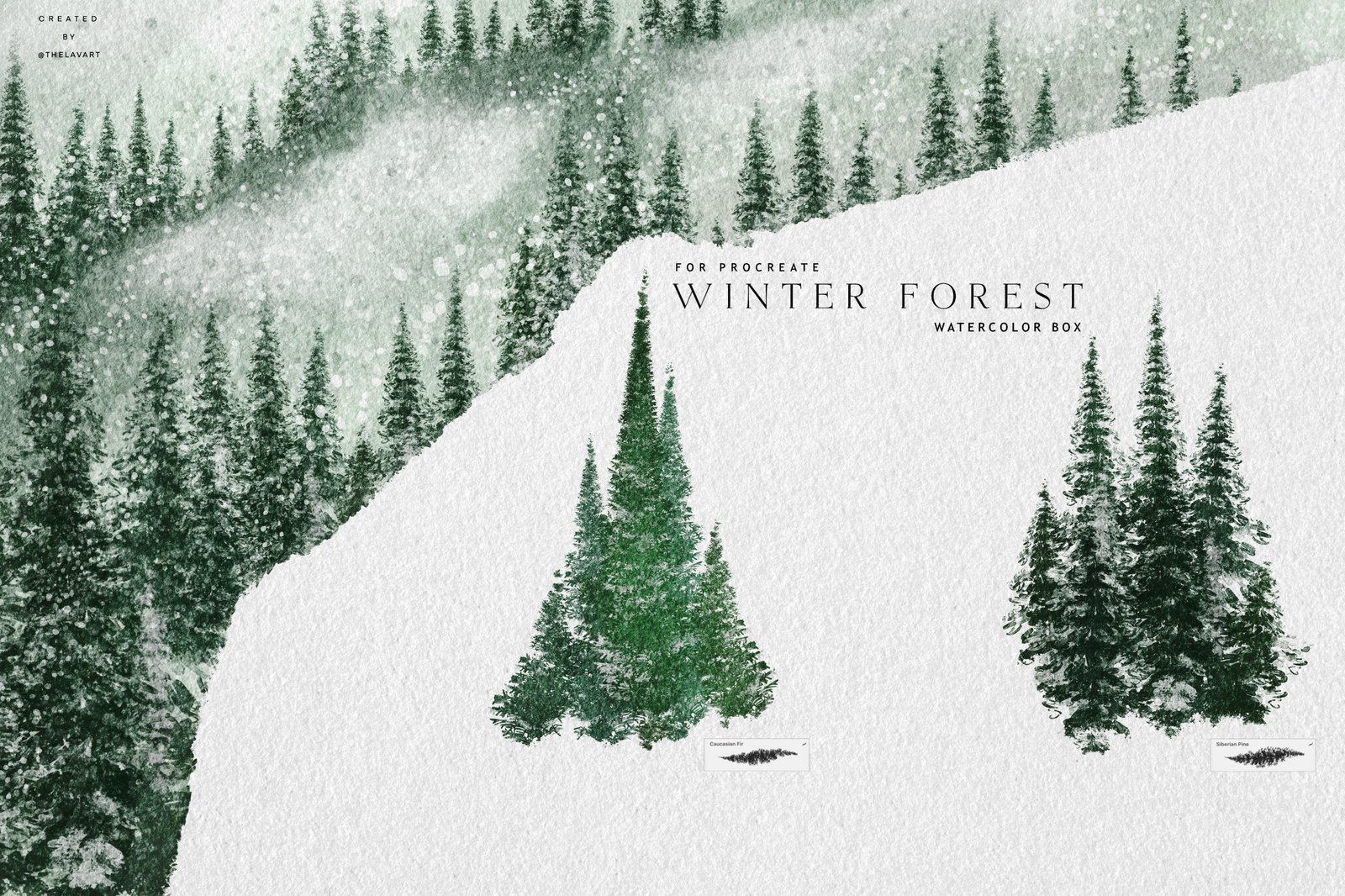Winter Forest Box for Procreate