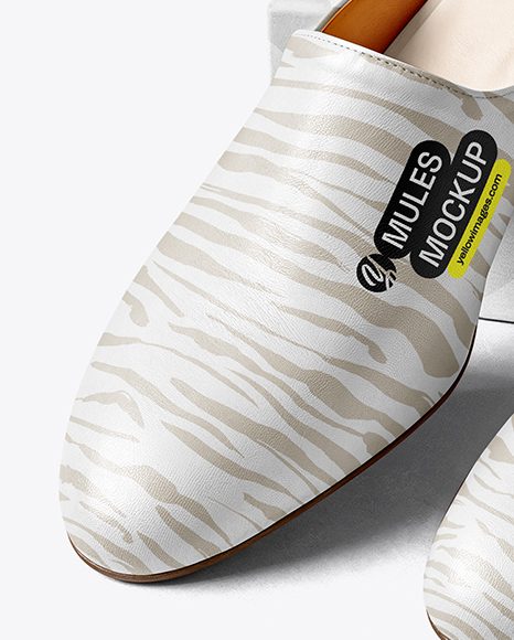 Pair of Mules with Shoe Box Mockup