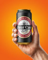 Aluminium Can With Matte Finish in a Hand Mockup