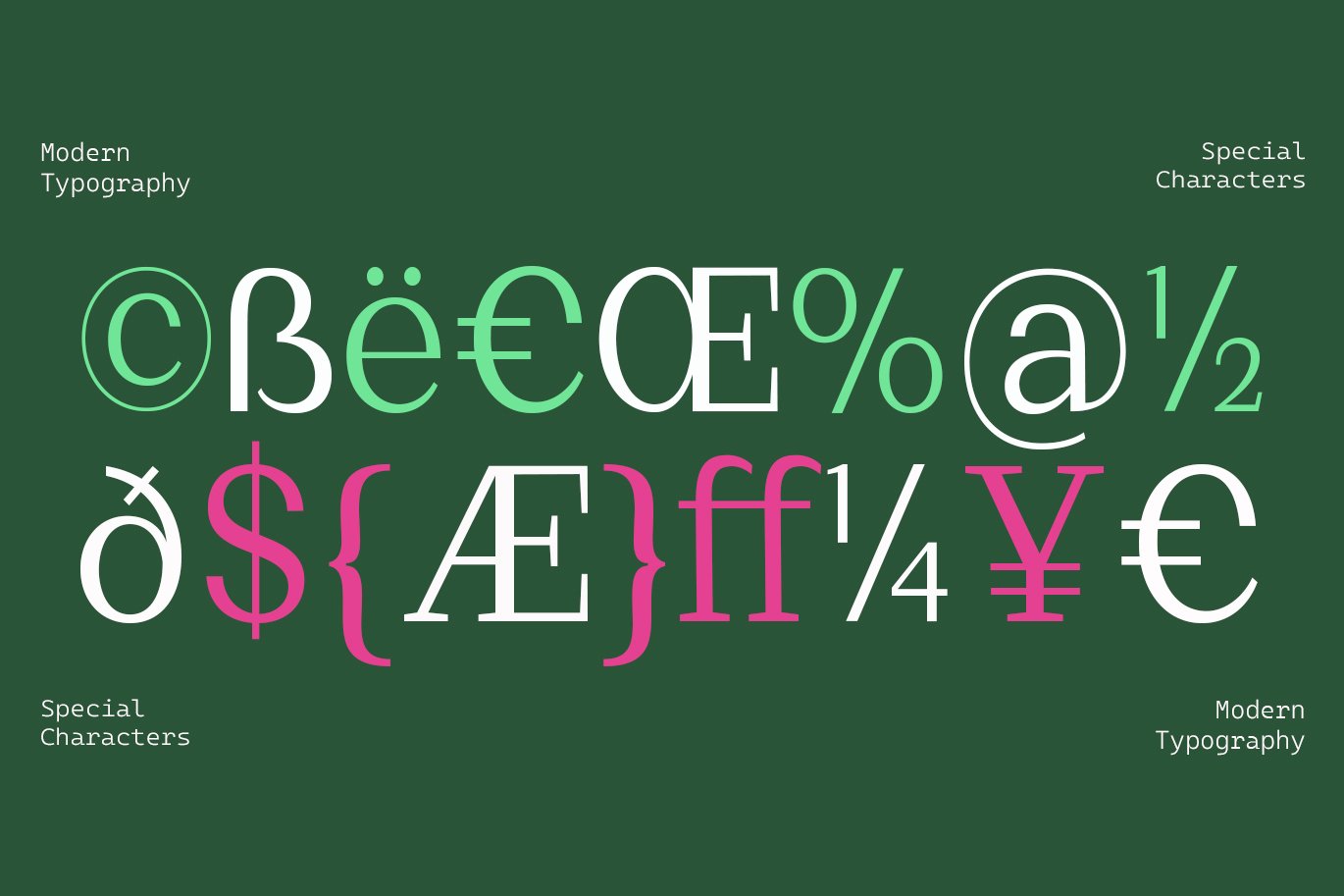 Basnet Font