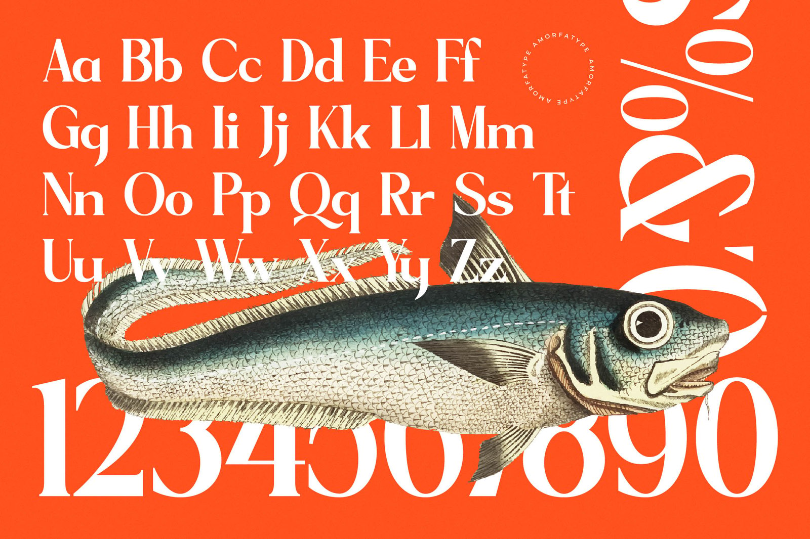 Sagfield Modern Serif