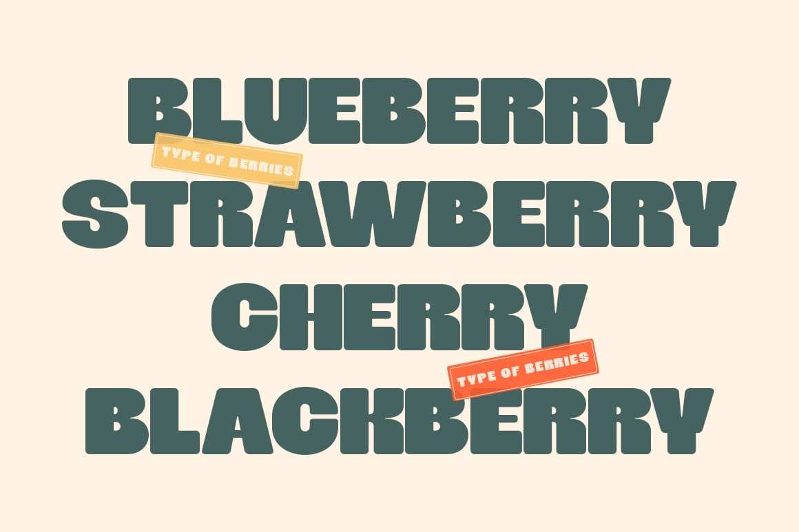 Shagie Boogie - Extra Chunky Bold Display Font