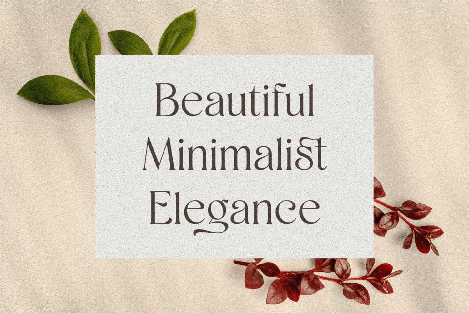 Shaena - Beautiful Serif