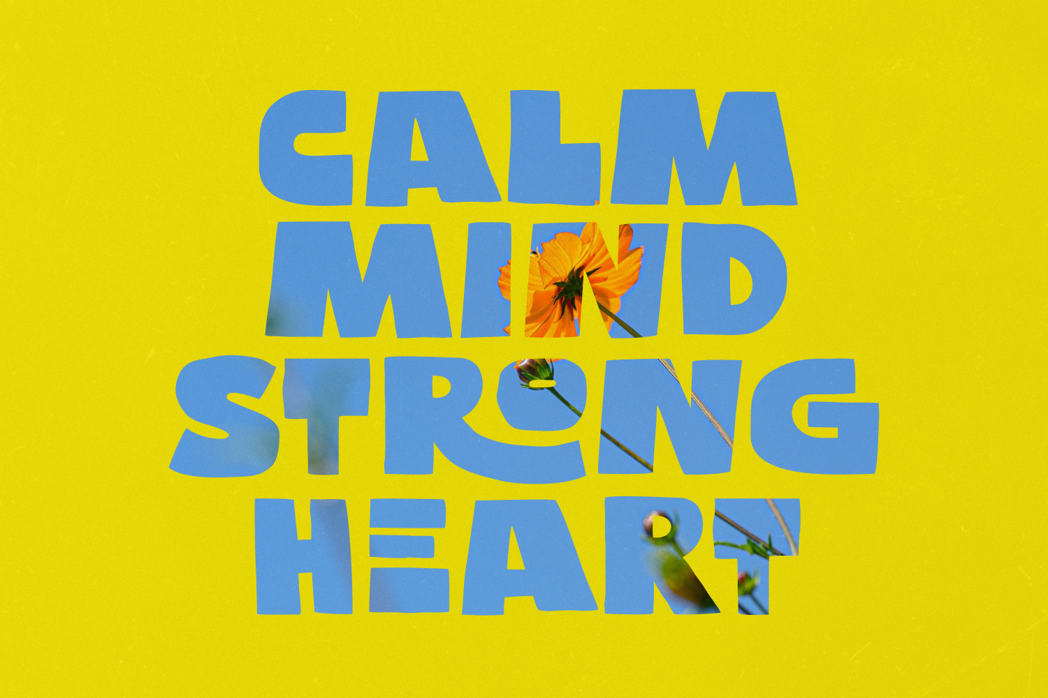 Poffy - Quirky Bold Display Sans Font