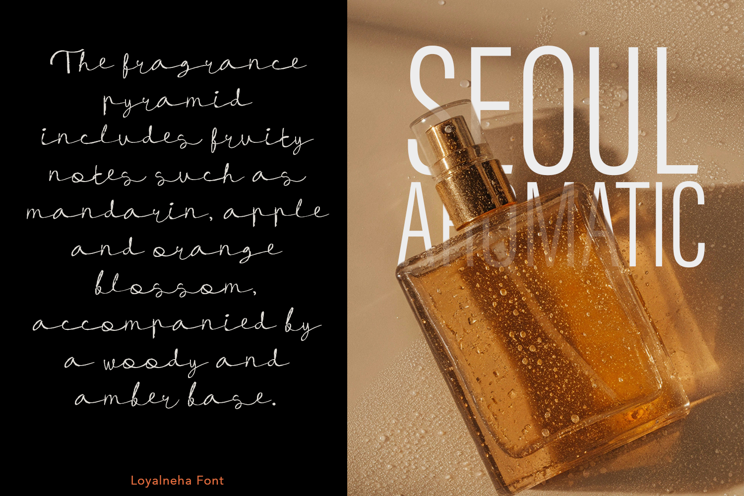 Loyalneha Brush Script