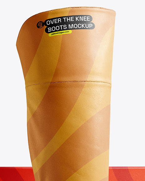 Women's Over-The-Knee Boots with Shoe Box Mockup