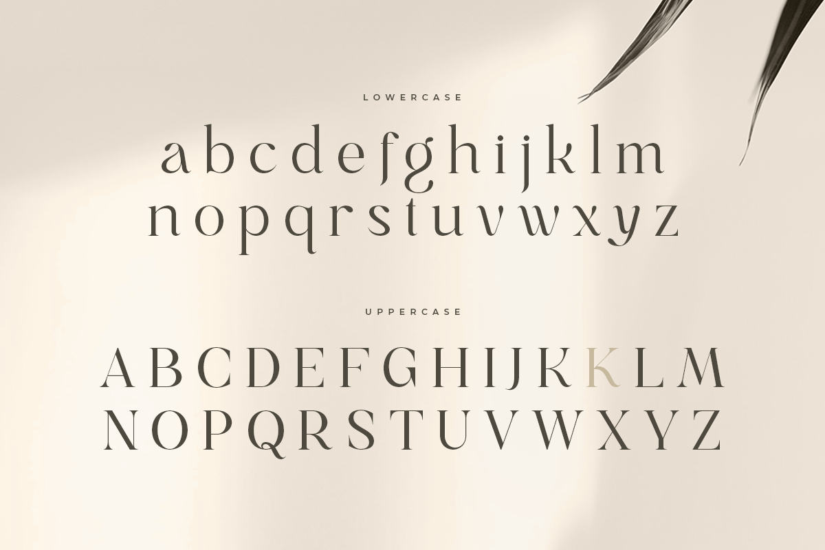 Gray - Luxury Classy Brand Font