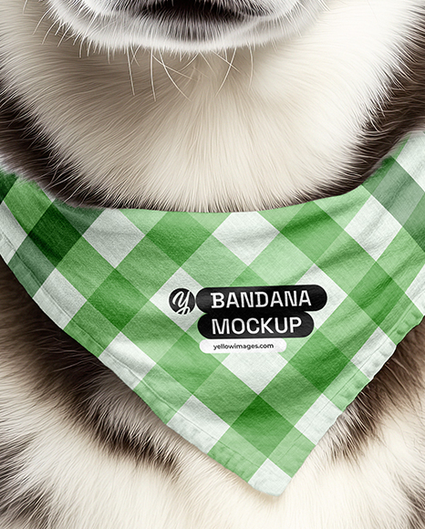 Husky Wearing a Bandana Mockup