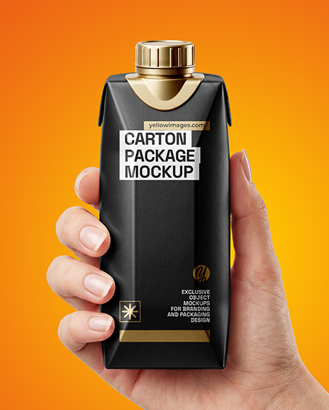 Matte Carton Pack in a Hand Mockup