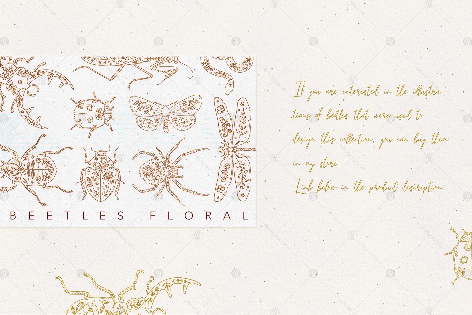 Lyuli Font Script