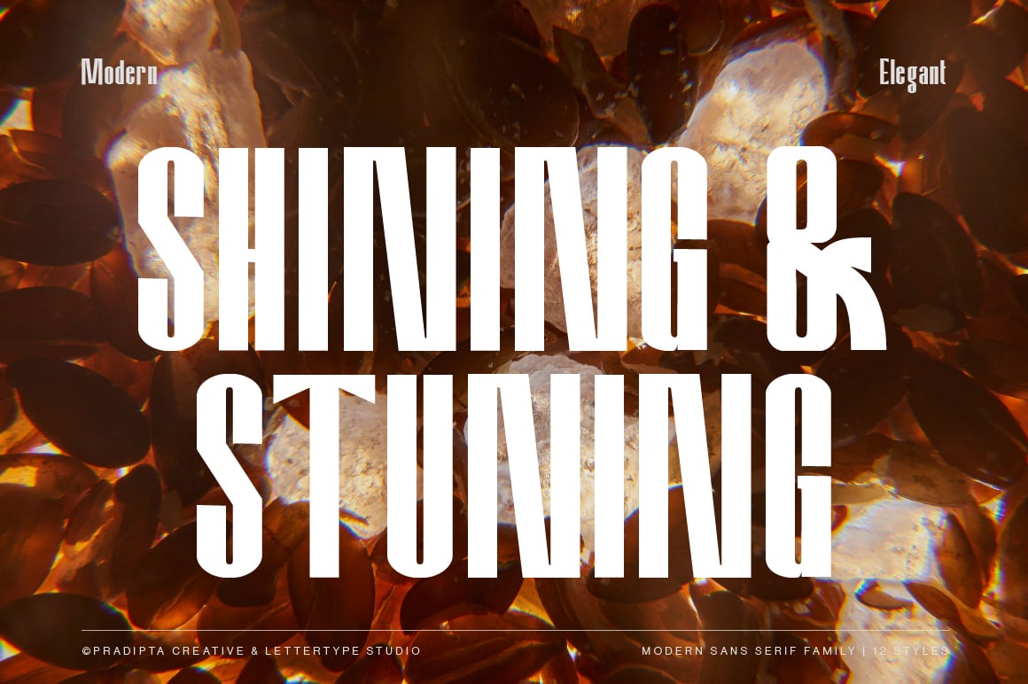 Amvergo Modern &amp; Elegant Sans Serif Family