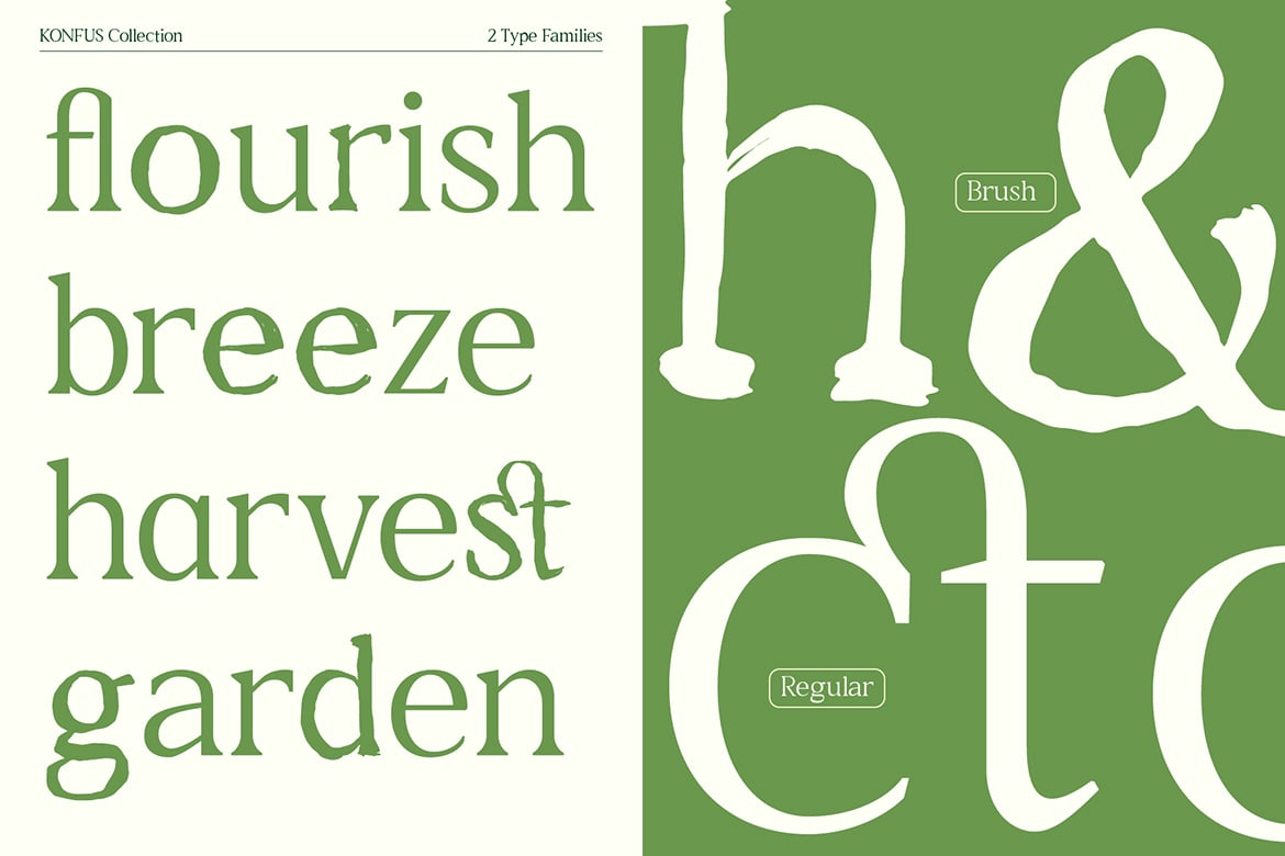 Konfus – Organic Modern Serif Duo