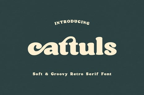 Cattuls Soft Groovy Retro Serif Font - Elegant serif fonts