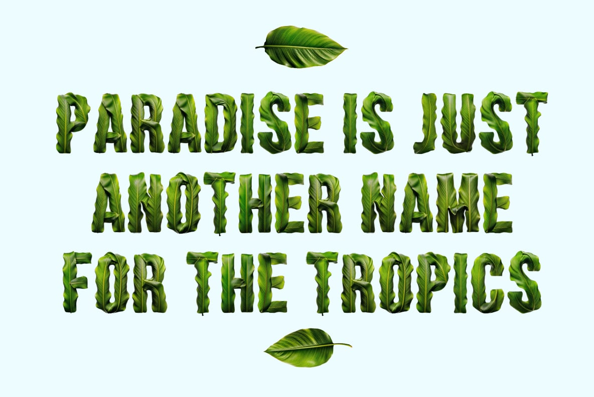 Tropical Leaves Font