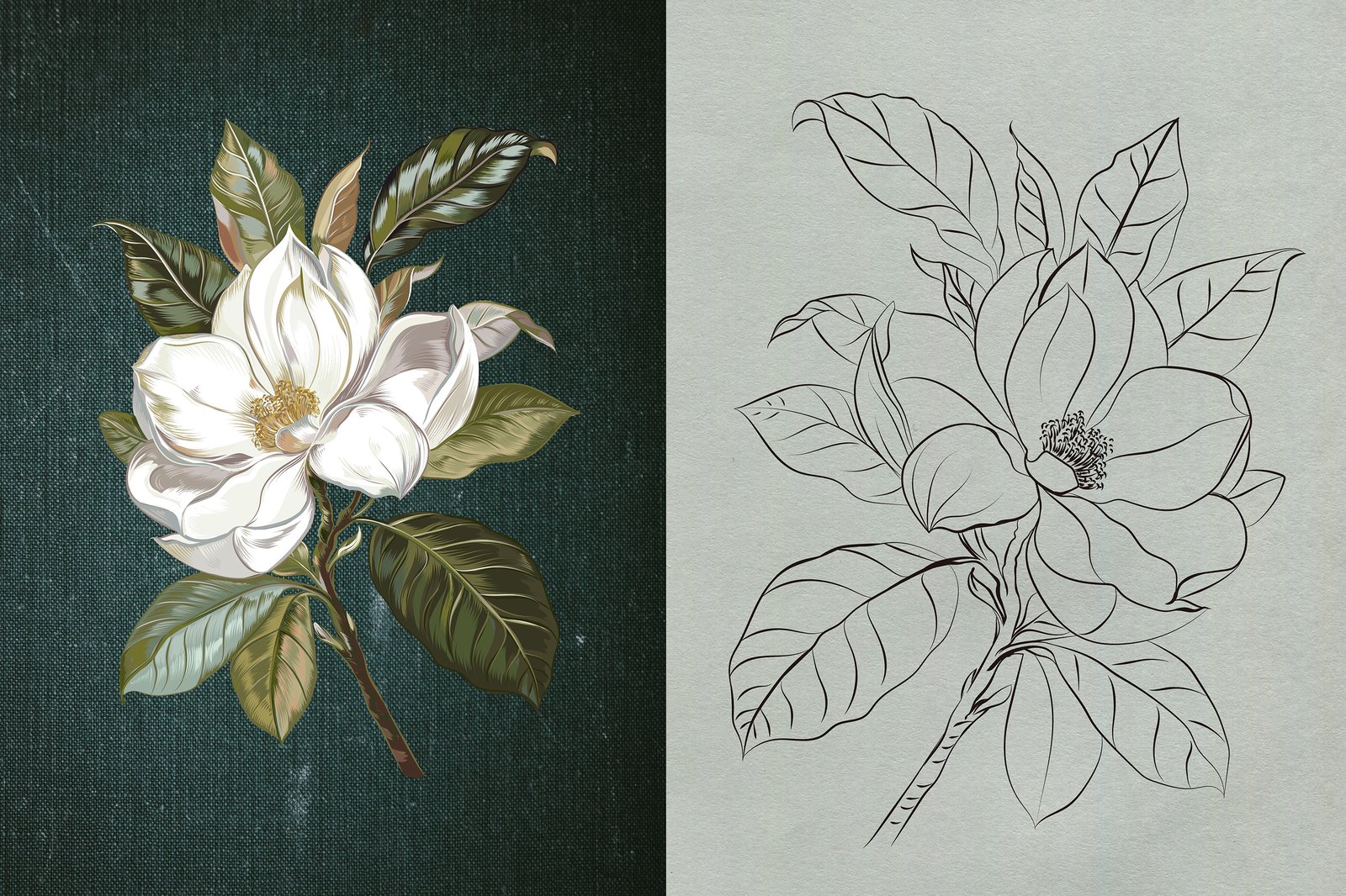 Lemons and Magnolia vector set