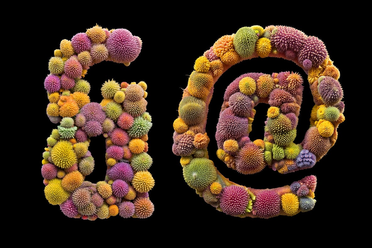 Microbiome Font