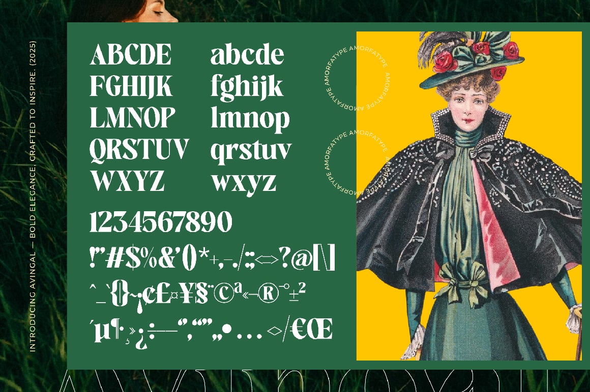 Avingal Serif Bold Display
