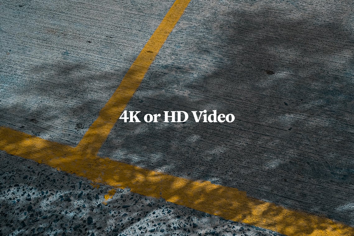 Plant Shadow Backdrops Video Bundle