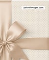Gift Box With Bow Mockup