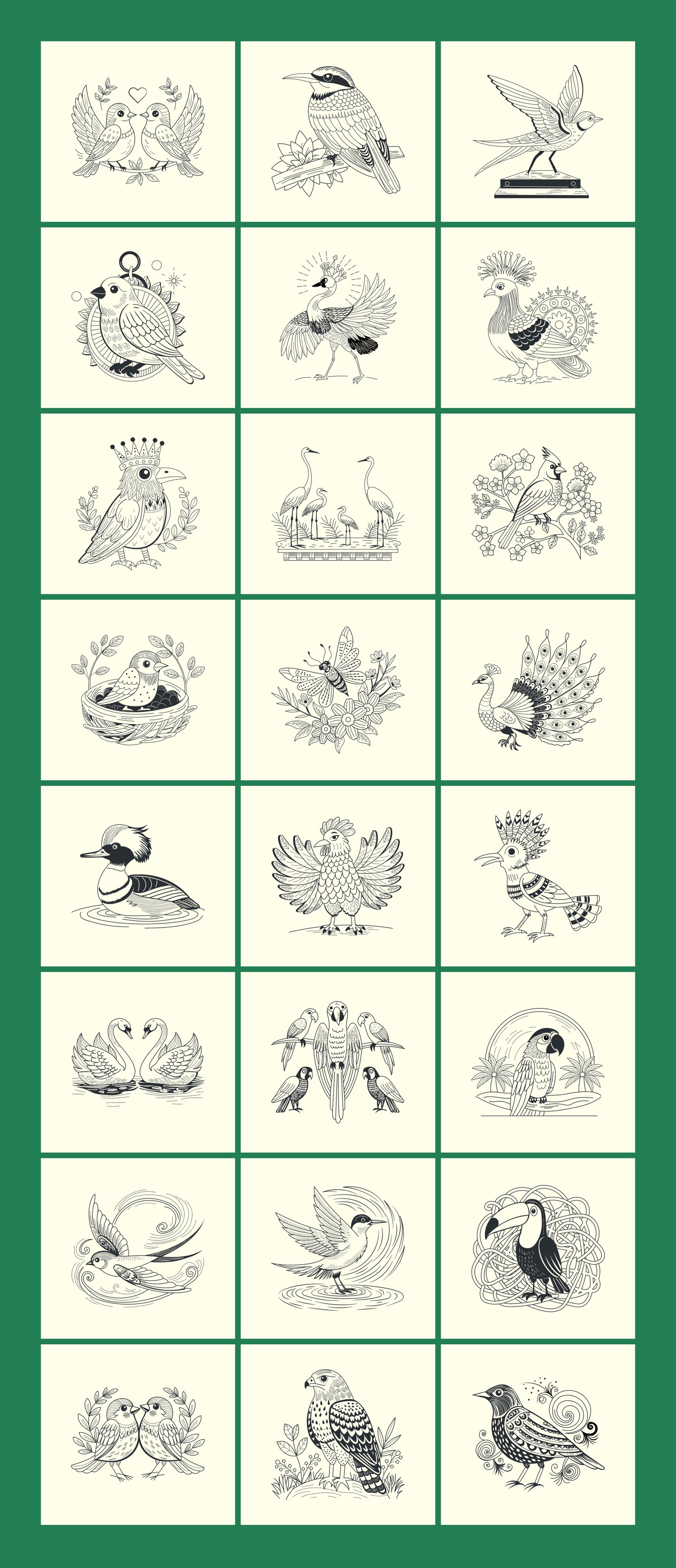 Vintage Bird Illustrations