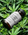 Amber Supplements Bottle on a Hemp Leaves Mockup