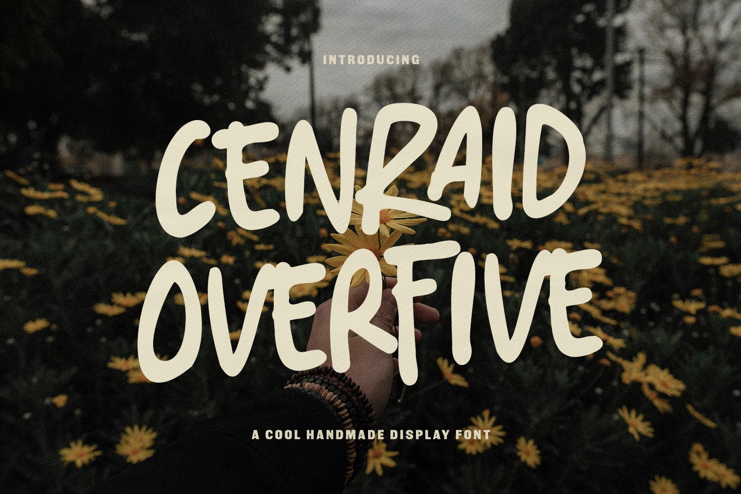 Cenraid Overfive Cool Handmade Display Font
