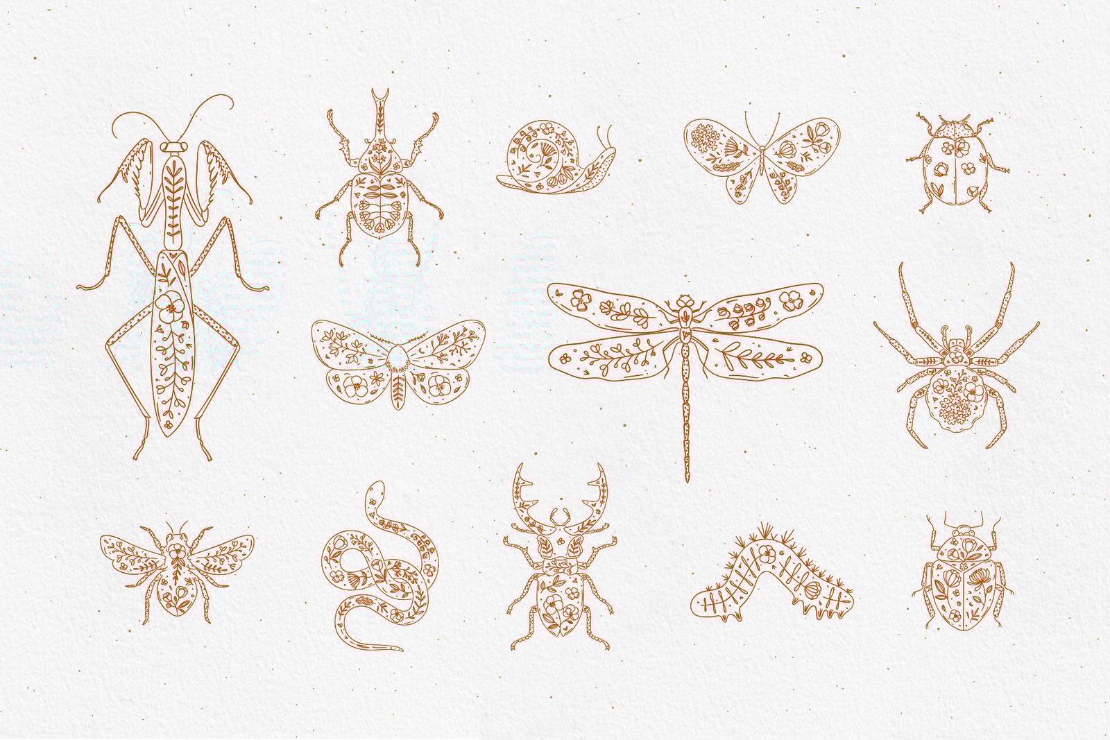 Beetles Floral