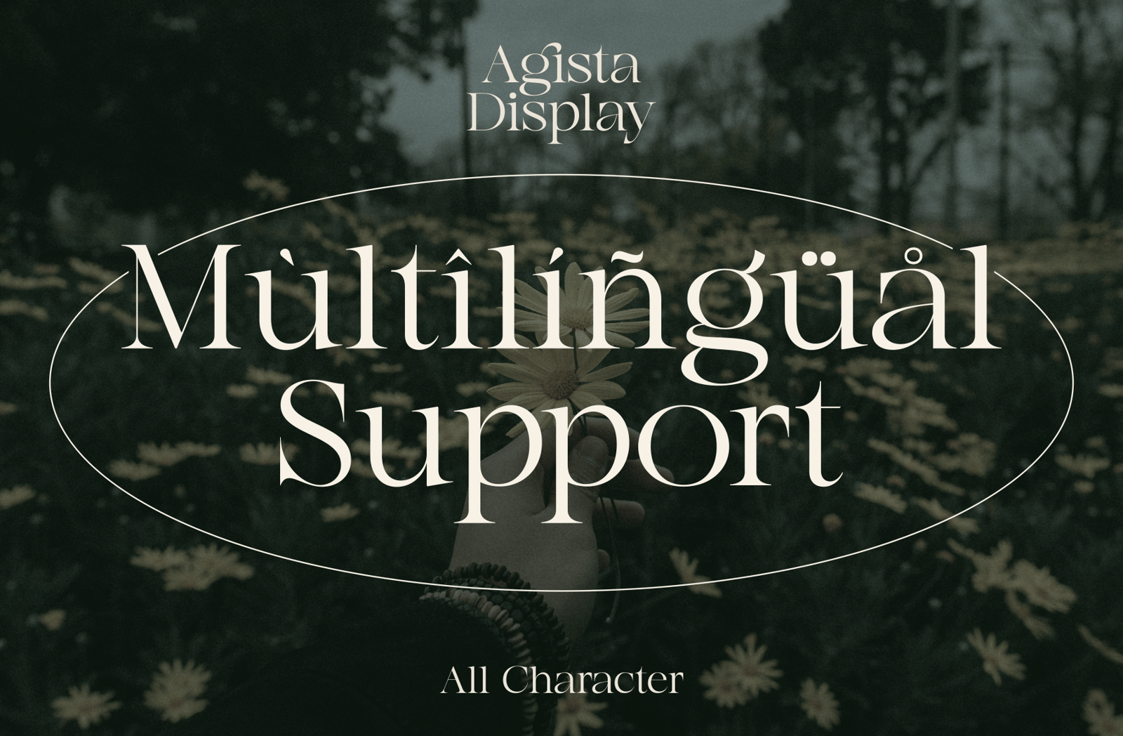 Agista Display Font