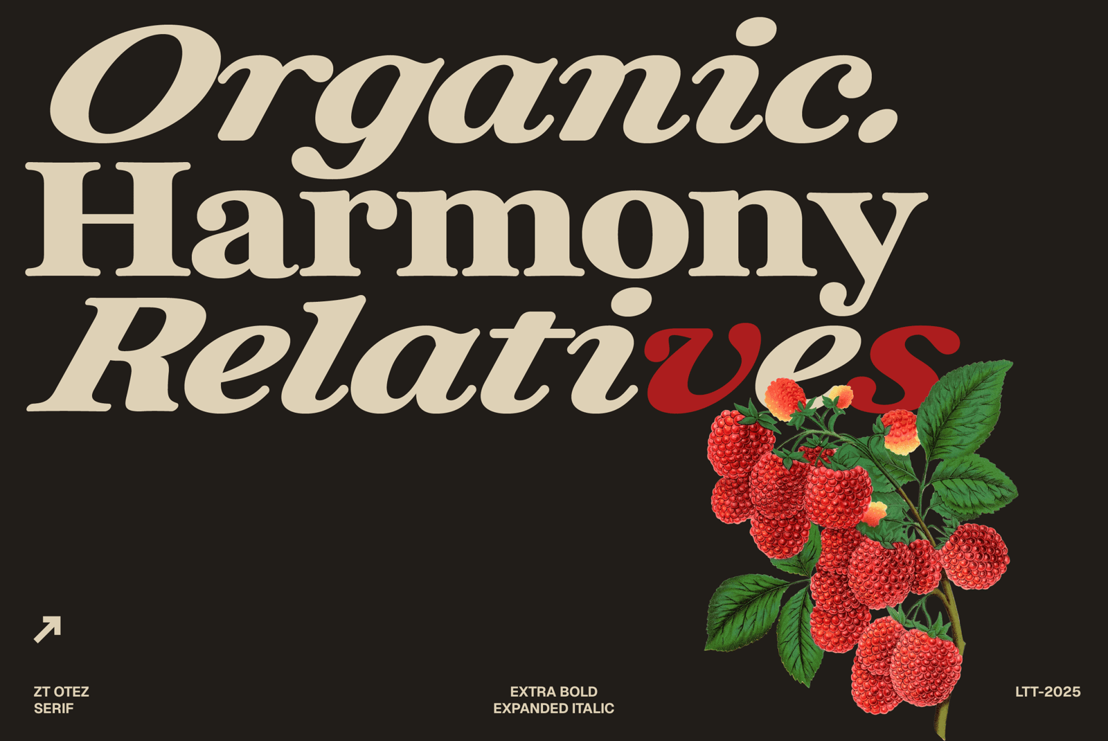 ZT Otez Font