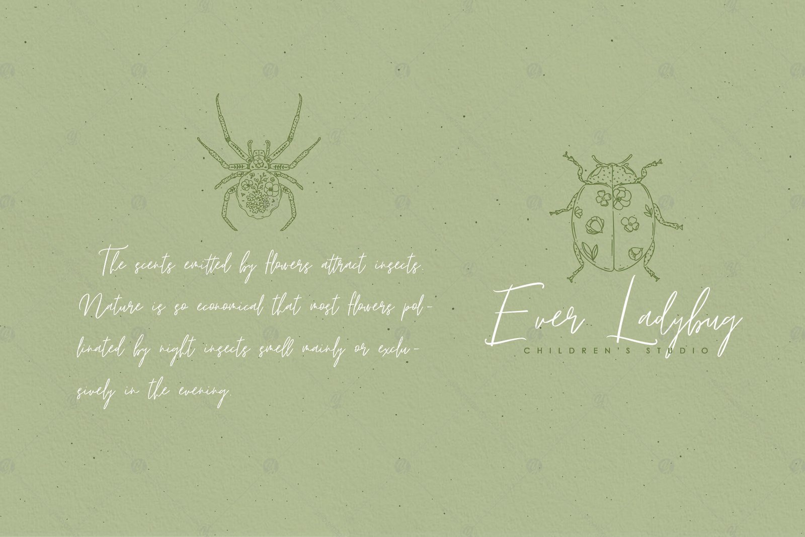 Lyuli Font Script