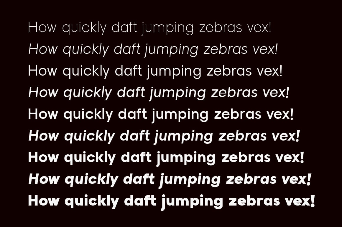 Raela Pro a Geometric Sans Serif Family