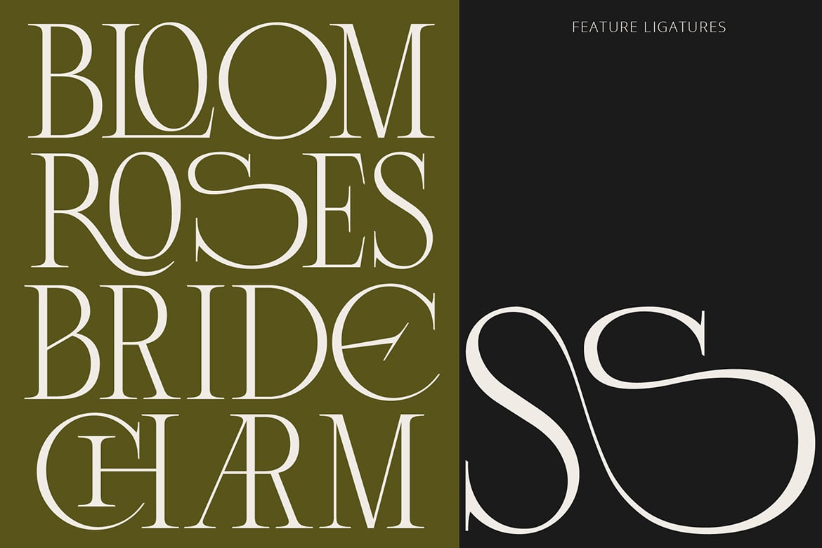 Lunoriels – Classic Serif Font