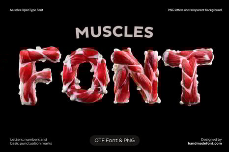 Muscles Font - Fonts