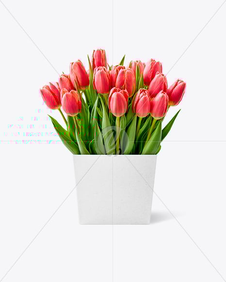 Tulip Box Mockup