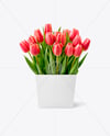 Tulip Box Mockup