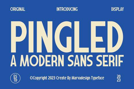 Pingled Font - Magazine font