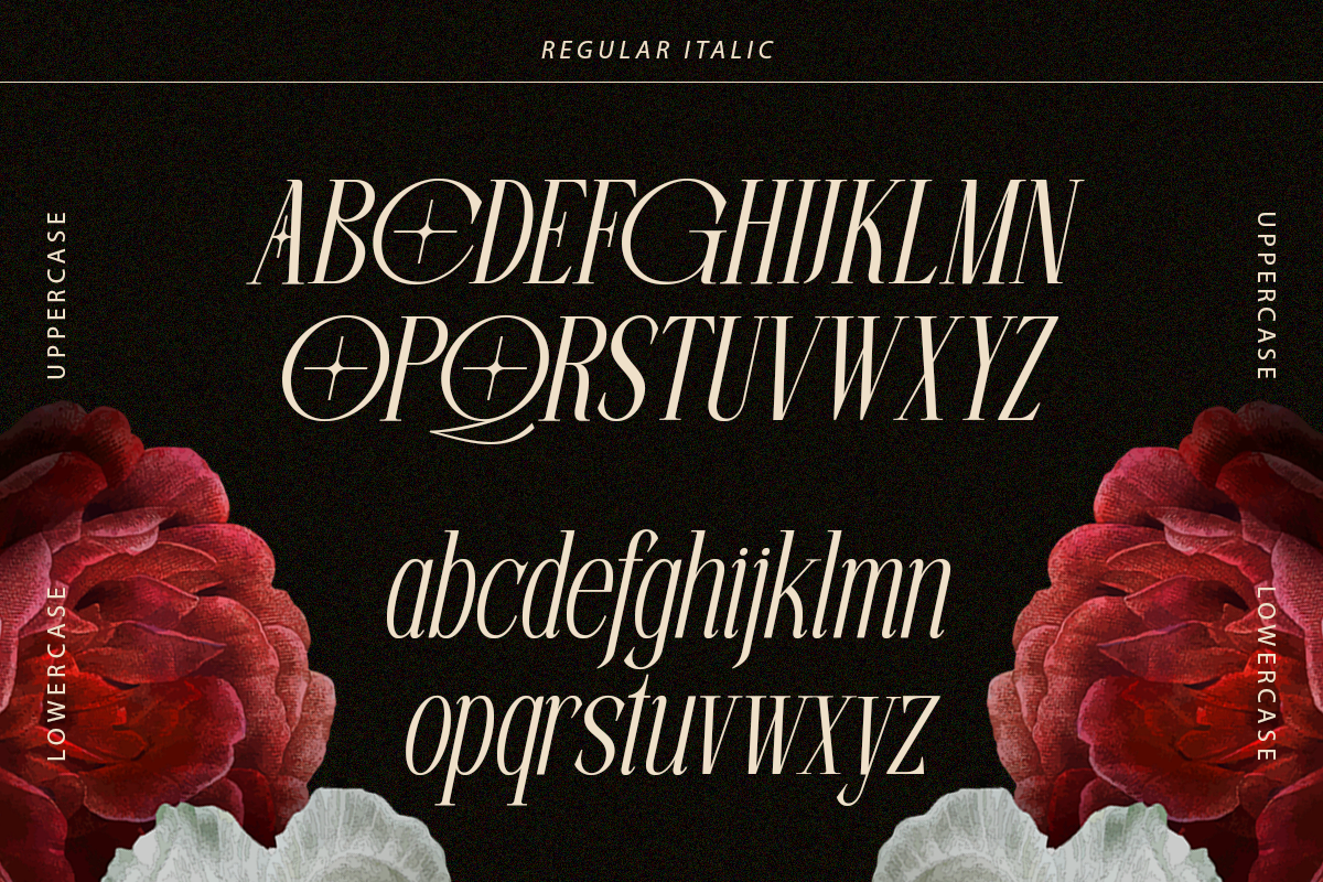 Beloved Dream - 10 Family Font