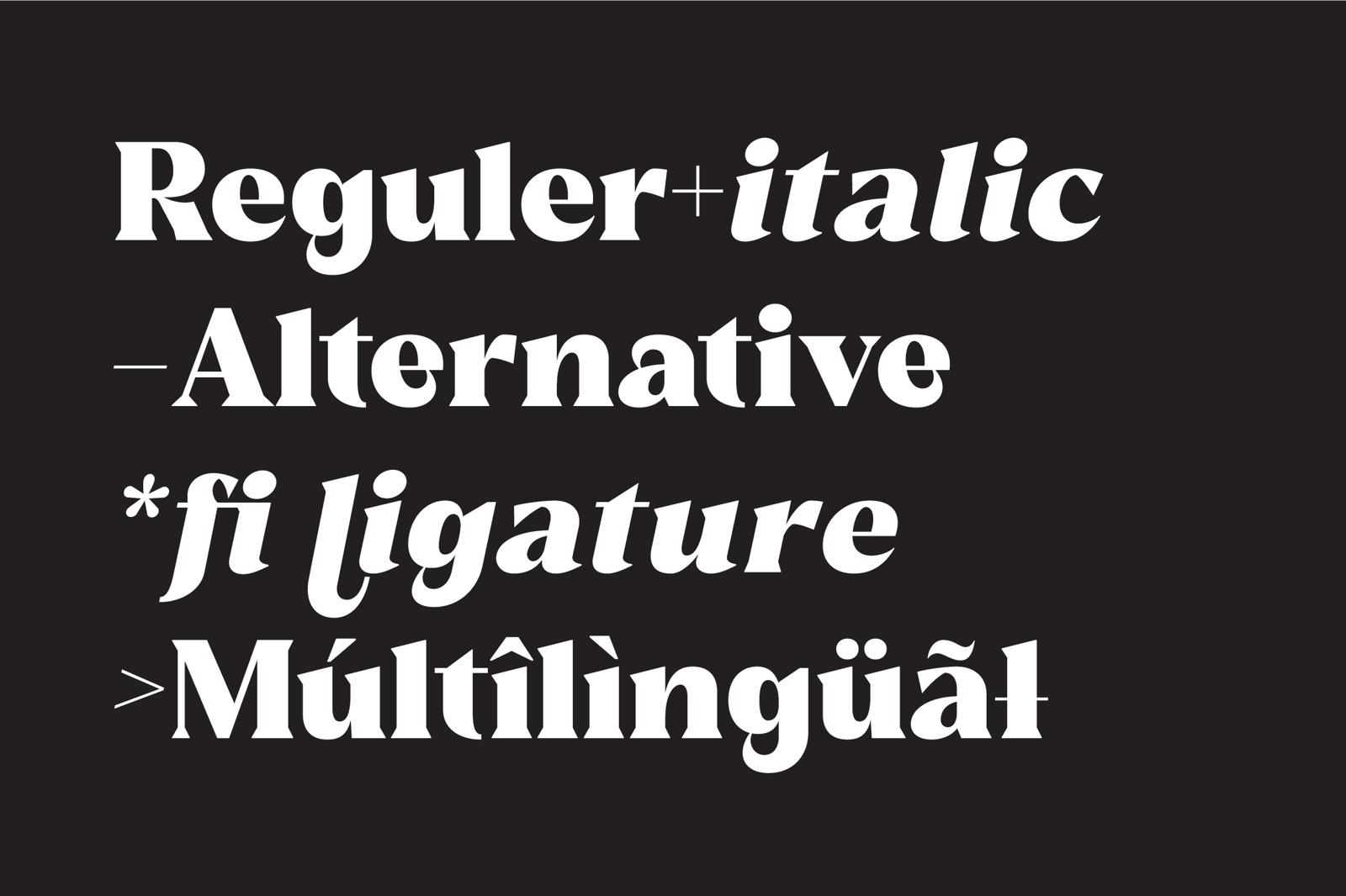 Reshiga - Serif Font