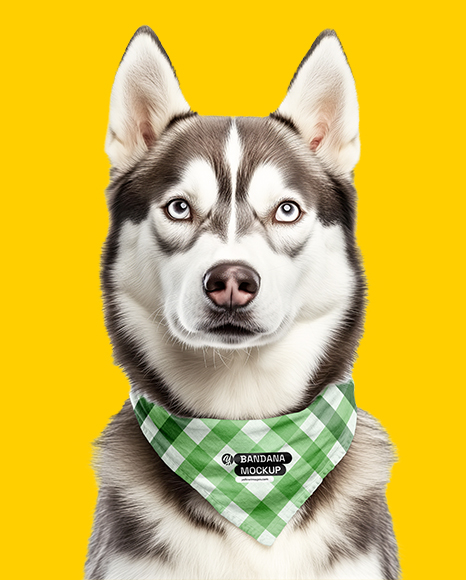 Husky Wearing a Bandana Mockup