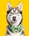 Husky Wearing a Bandana Mockup