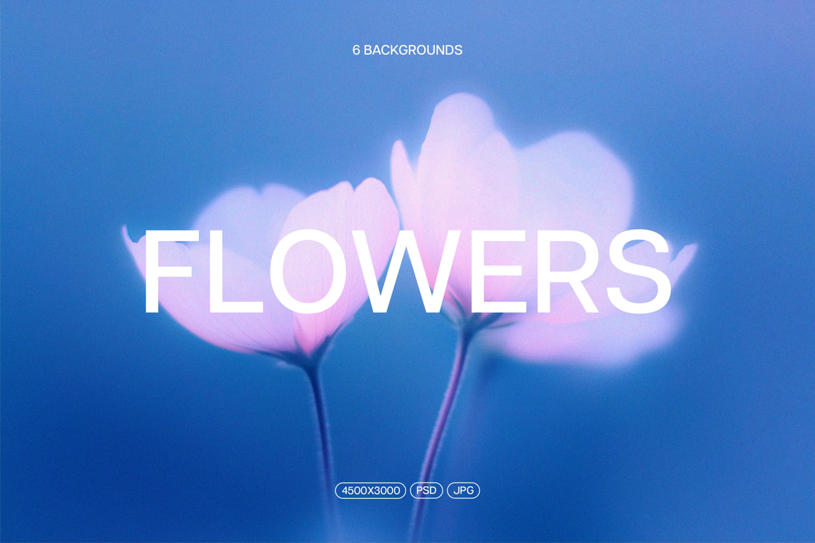 Abstact Blurred Flowers Textures